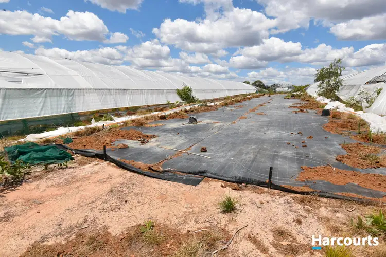 Seventh view of Homely rural property listing, 30428 Bruce Highway, Isis Central QLD 4660