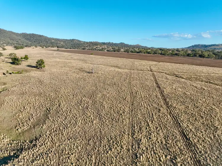 Sixth view of Homely rural property listing, "Tallawang" 358 Cattle Creek Road, Parraweena NSW 2339