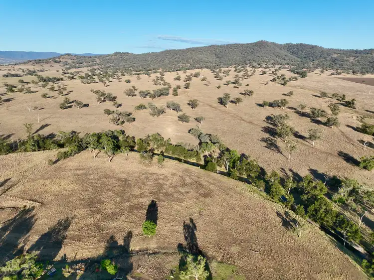 Seventh view of Homely rural property listing, "Tallawang" 358 Cattle Creek Road, Parraweena NSW 2339