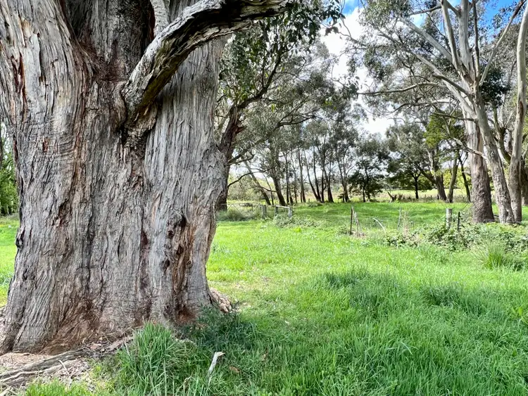 Sixth view of Homely house listing, 661 Romsey Road, Hesket VIC 3442