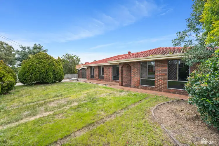 Main view of Homely house listing, 12 Harlow Court, Camillo WA 6111