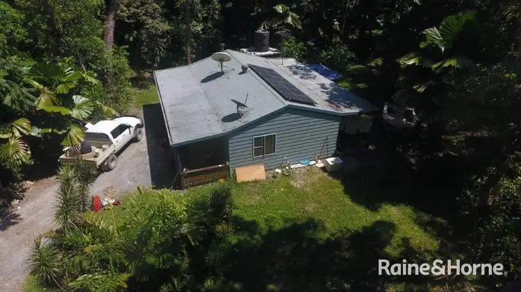 Main view of Homely house listing, 8 Cypress (Hickory) Road Cow Bay, Daintree QLD 4873