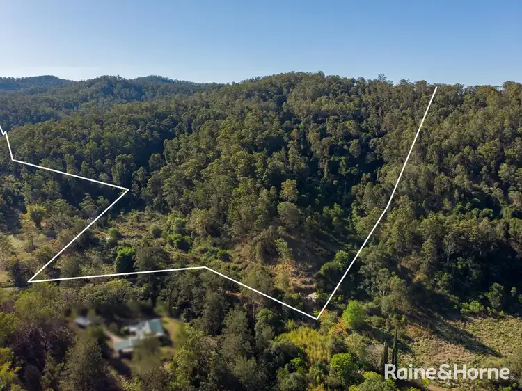 Third view of Homely land listing, 980 Eden Creek Road, Upper Eden Creek via, Kyogle NSW 2474