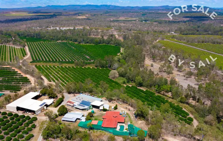 22 Leonardi Road, Mareeba QLD 4880