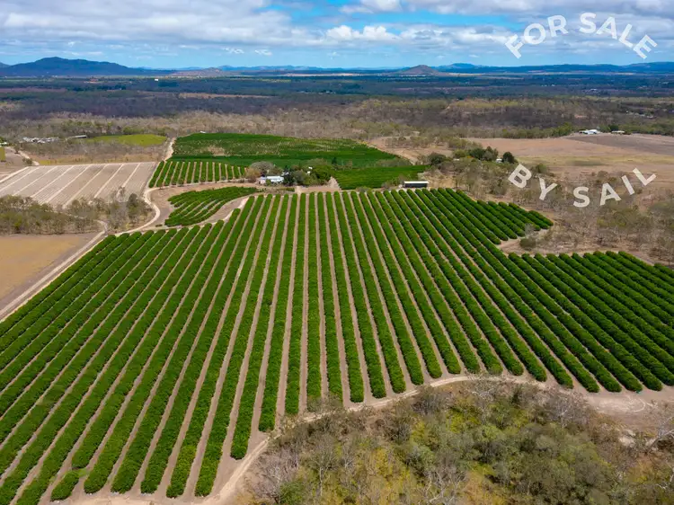 Second view of Homely rural property listing, 22 Leonardi Road, Mareeba QLD 4880
