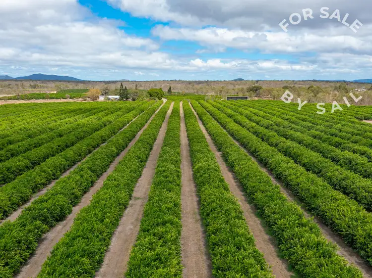 Third view of Homely rural property listing, 22 Leonardi Road, Mareeba QLD 4880