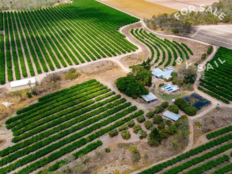 Fourth view of Homely rural property listing, 22 Leonardi Road, Mareeba QLD 4880