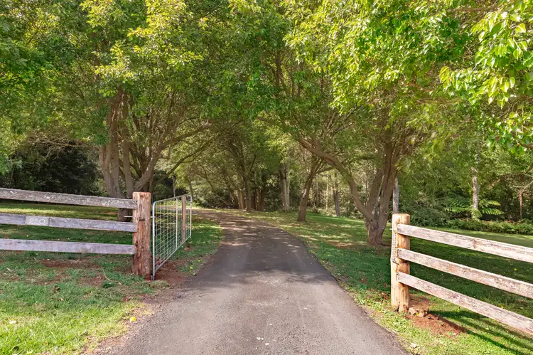 Fifth view of Homely rural property listing, 280 Tindalls Lane, Berry NSW 2535