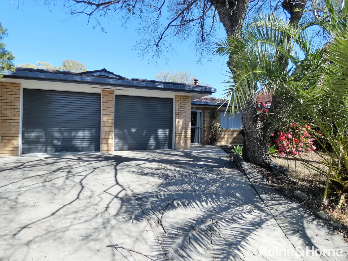 Main view of Homely house listing, 8 Helensvale Avenue, Moree NSW 2400