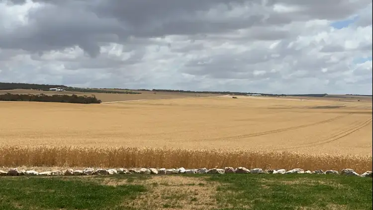 Seventh view of Homely rural property listing, 9/1607 Chaunceys Line Road, Monarto South SA 5254