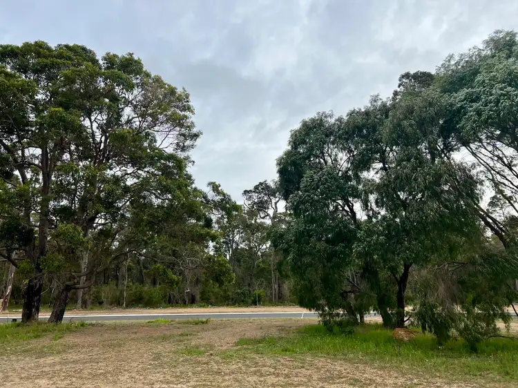 Main view of Homely land listing, 16 Truffle Circuit, Cowaramup WA 6284