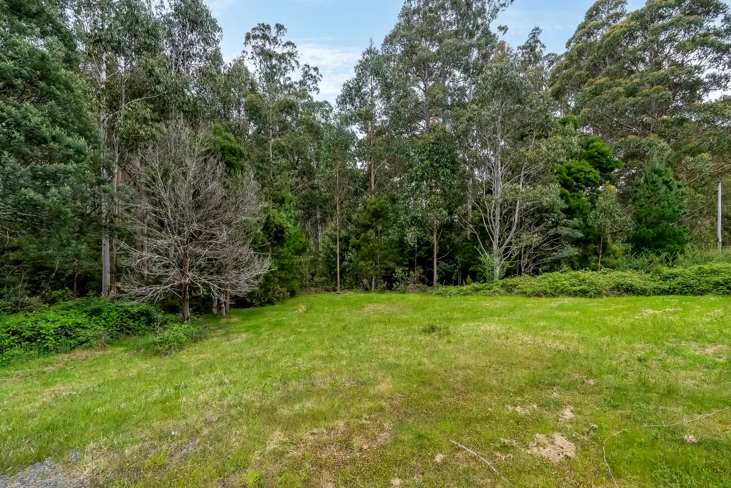 Main view of Homely land listing, 2649 Gordon River Road, National Park TAS 7140