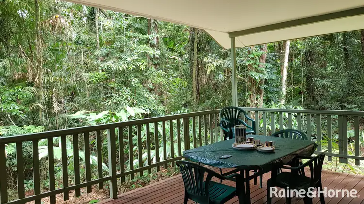 Main view of Homely house listing, 99 Black Bean Road, Cow Bay, Daintree QLD 4873