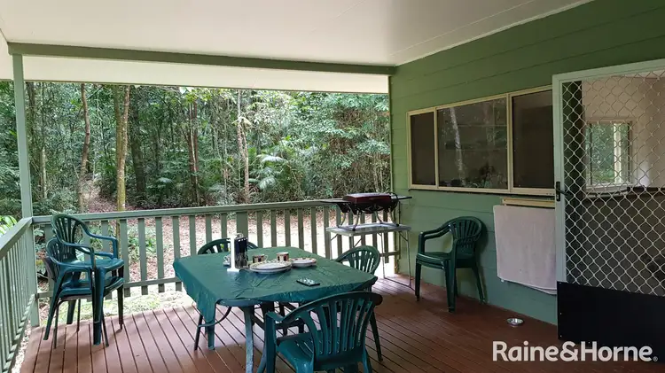 Second view of Homely house listing, 99 Black Bean Road, Cow Bay, Daintree QLD 4873
