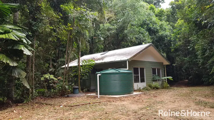Third view of Homely house listing, 99 Black Bean Road, Cow Bay, Daintree QLD 4873