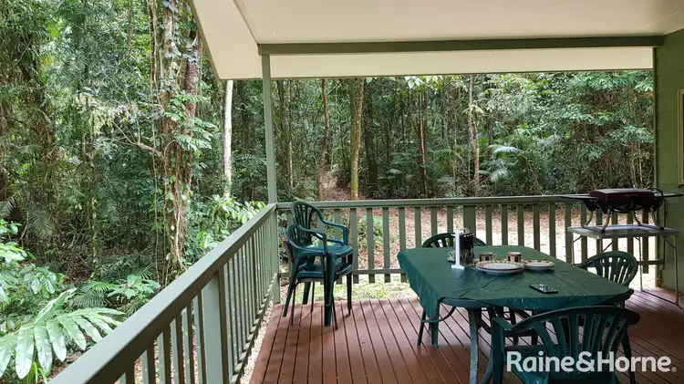 Fifth view of Homely house listing, 99 Black Bean Road, Cow Bay, Daintree QLD 4873