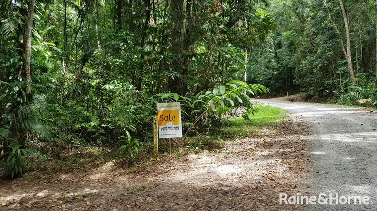 Sixth view of Homely house listing, 99 Black Bean Road, Cow Bay, Daintree QLD 4873