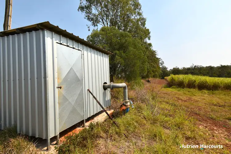 Sixth view of Homely rural property listing, 417 Kevin Livingston Drive, Isis Central QLD 4660