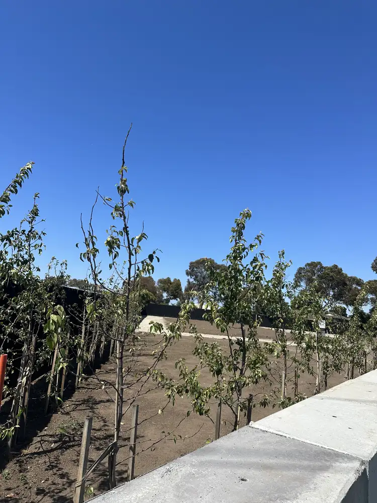 Fifth view of Homely land listing, 412 - 420 Portarlington Road, Moolap VIC 3224