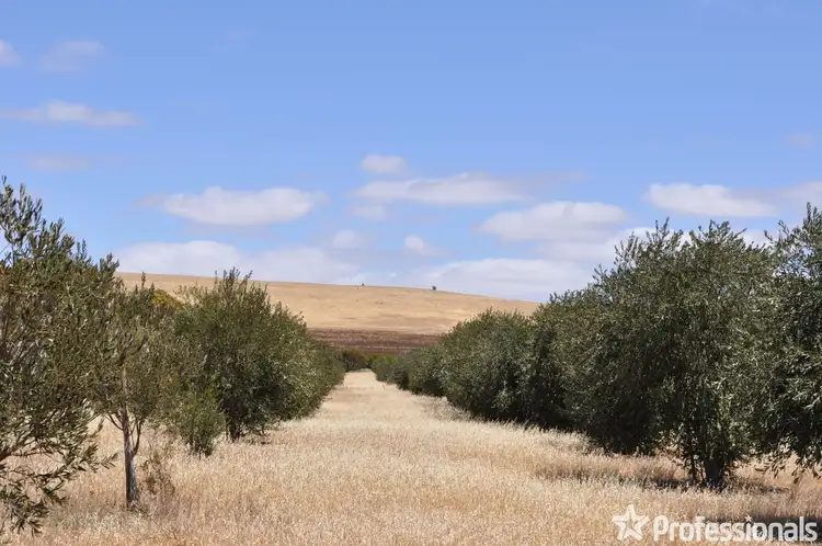Section 426 Worlds End Highway, Eudunda SA 5374