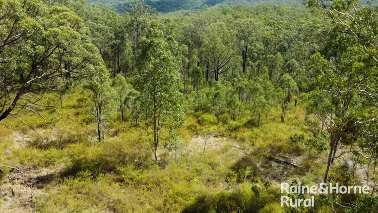 Third view of Homely rural property listing, 1674 Paddys Flat Road, Tabulam NSW 2469