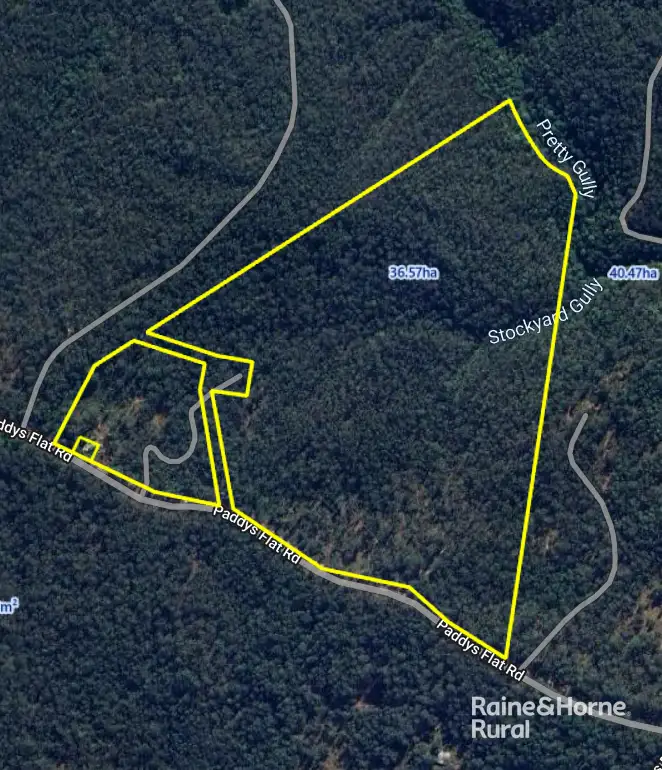 Fifth view of Homely rural property listing, 1674 Paddys Flat Road, Tabulam NSW 2469