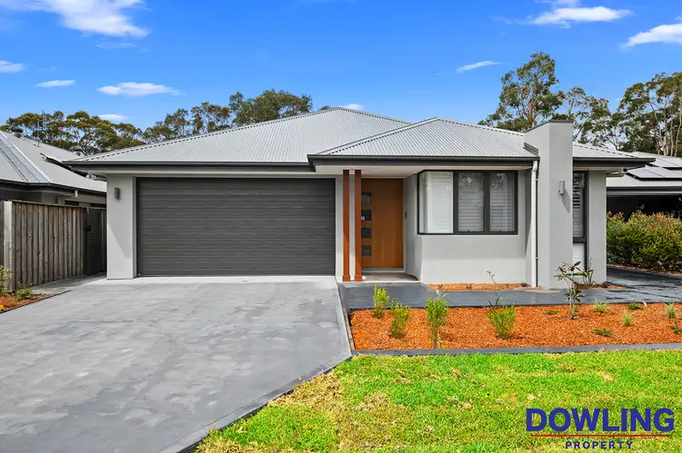 42 Portmarnock Close, Medowie NSW 2318