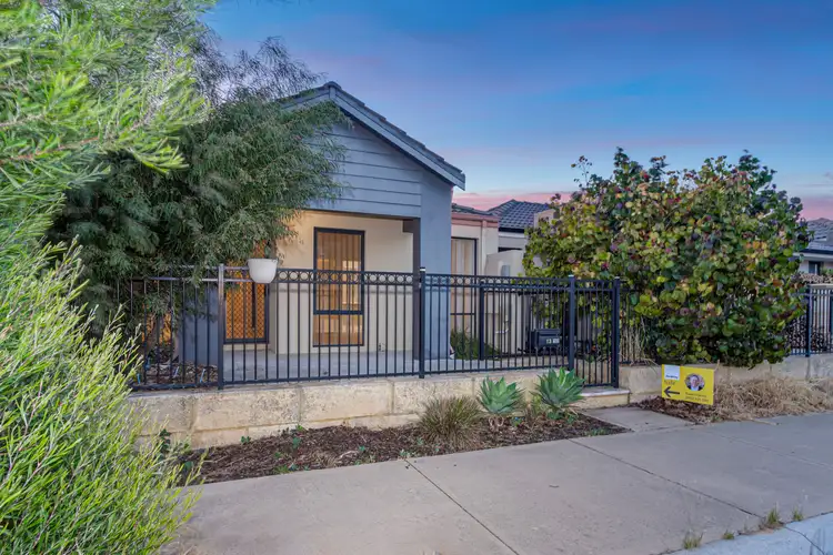 Main view of Homely house listing, 13 Benfleet Drive, Butler WA 6036