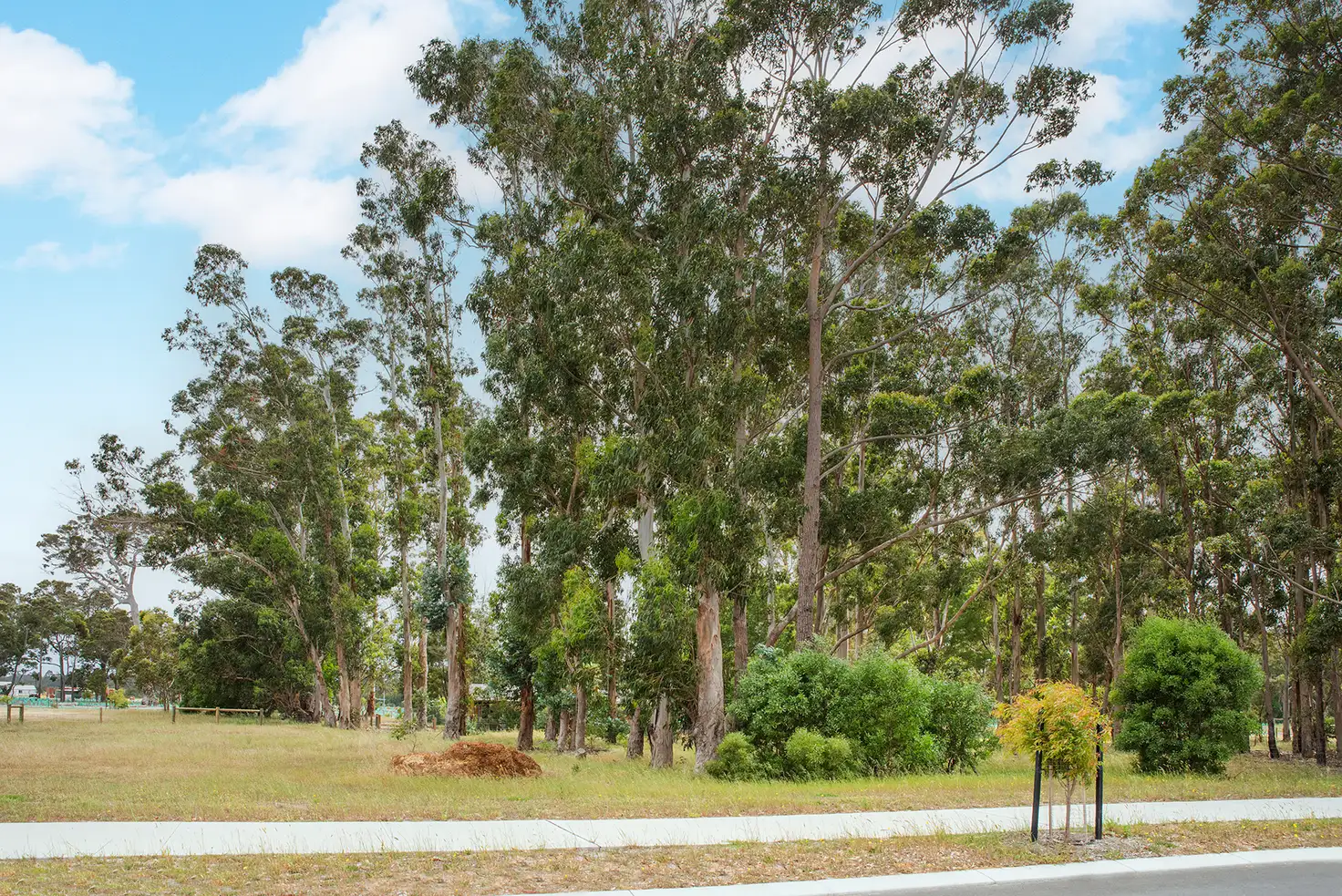 Main view of Homely land listing, 41 McManus Circuit, Witchcliffe WA 6286