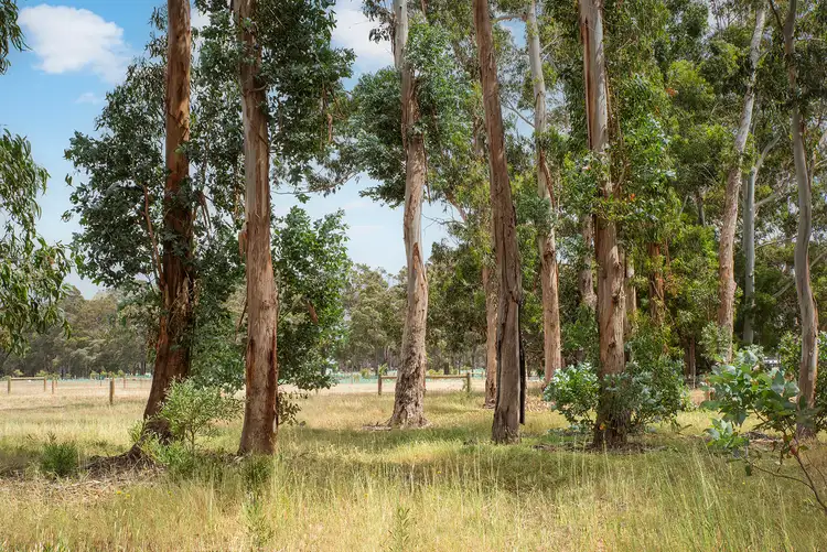 Third view of Homely land listing, 41 McManus Circuit, Witchcliffe WA 6286
