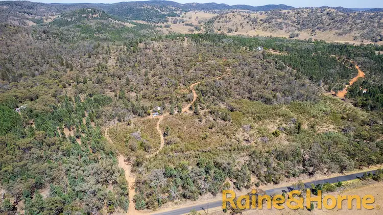 Main view of Homely rural property listing, 385R Obley Road, Wambangalang NSW 2830