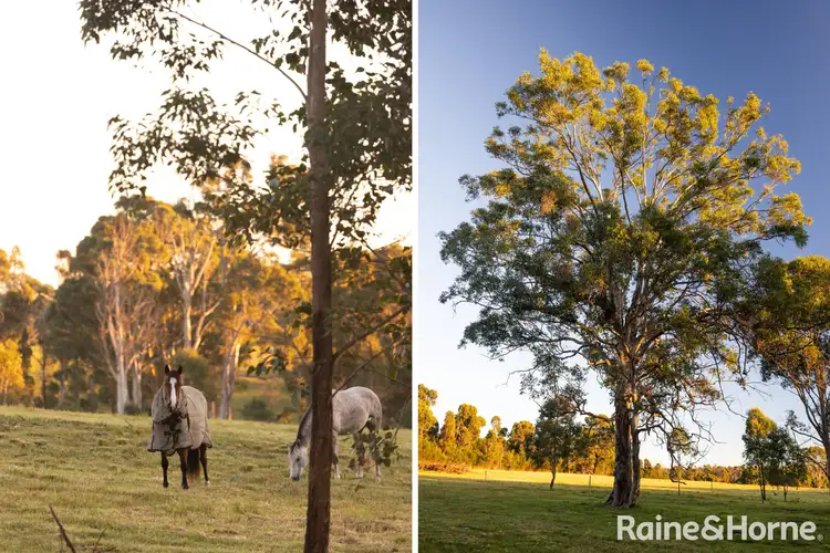Fourth view of Homely rural property listing, Lot 42 Pointer Road 'Skye Meadows', Yatte Yattah NSW 2539