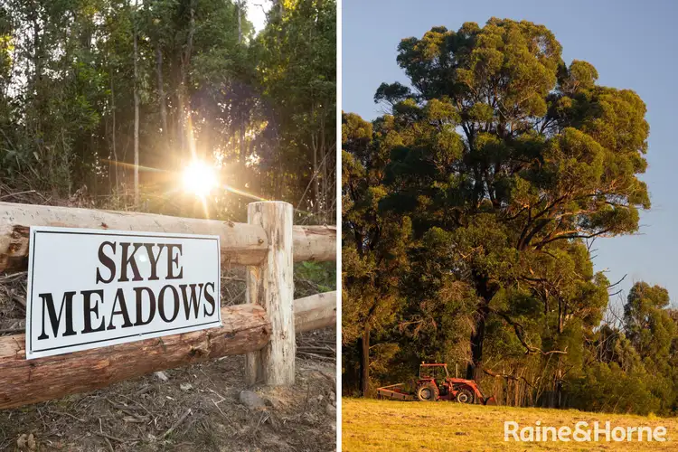Sixth view of Homely rural property listing, Lot 42 Pointer Road 'Skye Meadows', Yatte Yattah NSW 2539
