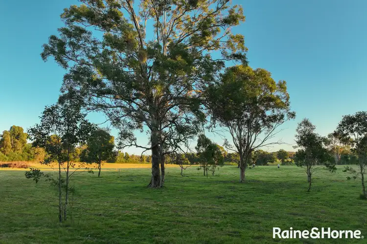 Seventh view of Homely rural property listing, Lot 42 Pointer Road 'Skye Meadows', Yatte Yattah NSW 2539