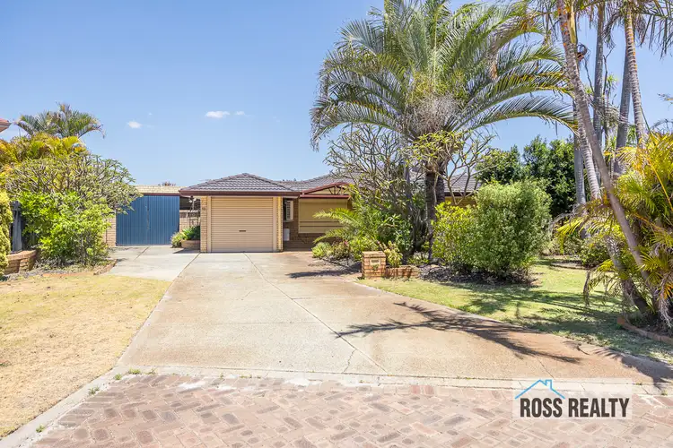 13 Melaleuca Court, Morley WA 6062
