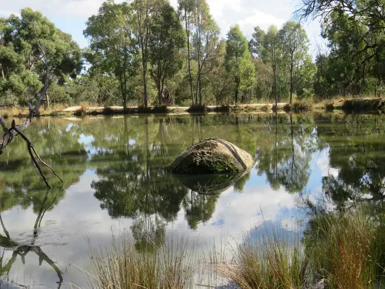 Fourth view of Homely rural property listing, "Boondaroo" 1697 Bingara Road, Bundarra NSW 2359