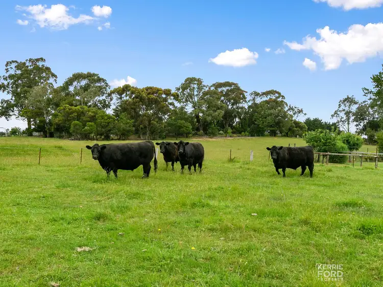 Fourth view of Homely rural property listing, 75 Arrandoon Drive, Hazelwood North VIC 3840