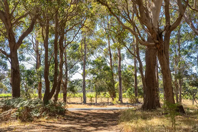 Fifth view of Homely house listing, 382 Boodjidup Road, Margaret River WA 6285