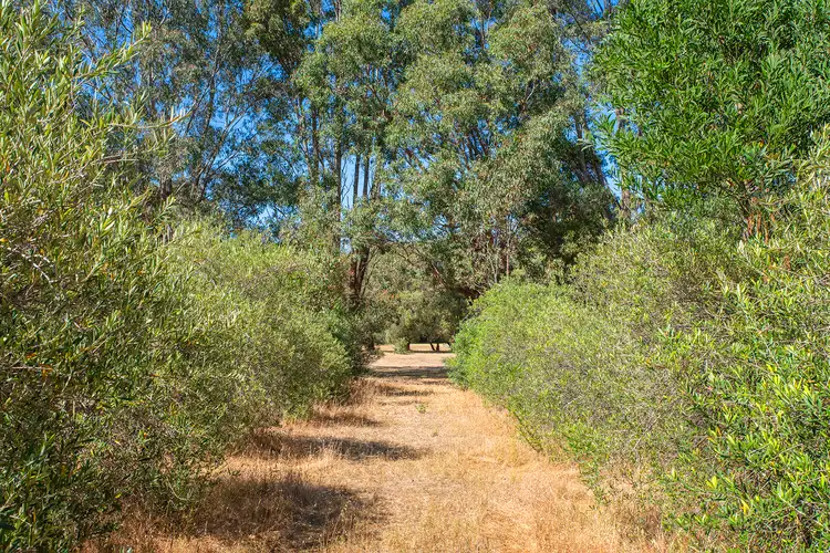 Seventh view of Homely house listing, 382 Boodjidup Road, Margaret River WA 6285