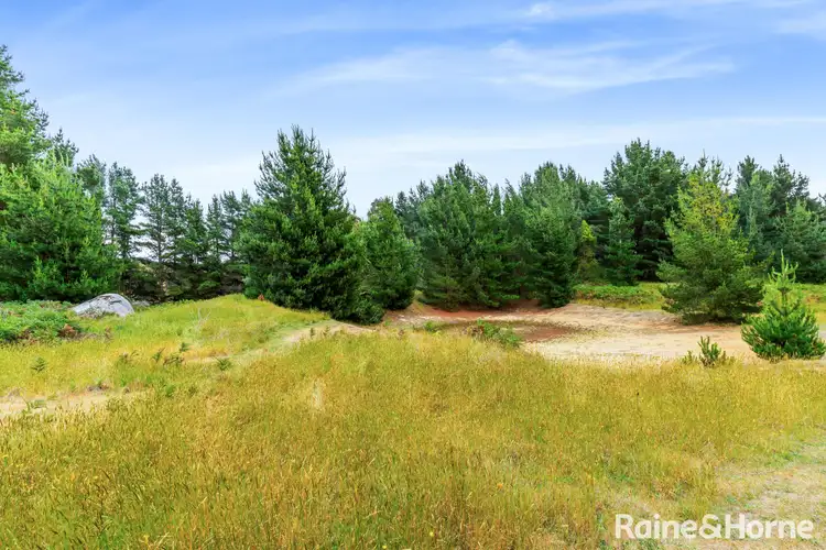 Sixth view of Homely land listing, LOT 3, 163 Feeneys Lane, Benloch VIC 3435