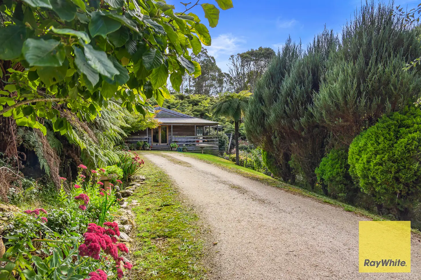 Main view of Homely house listing, 340 Mt Best - Tin Mine Rd,, Toora North VIC 3962