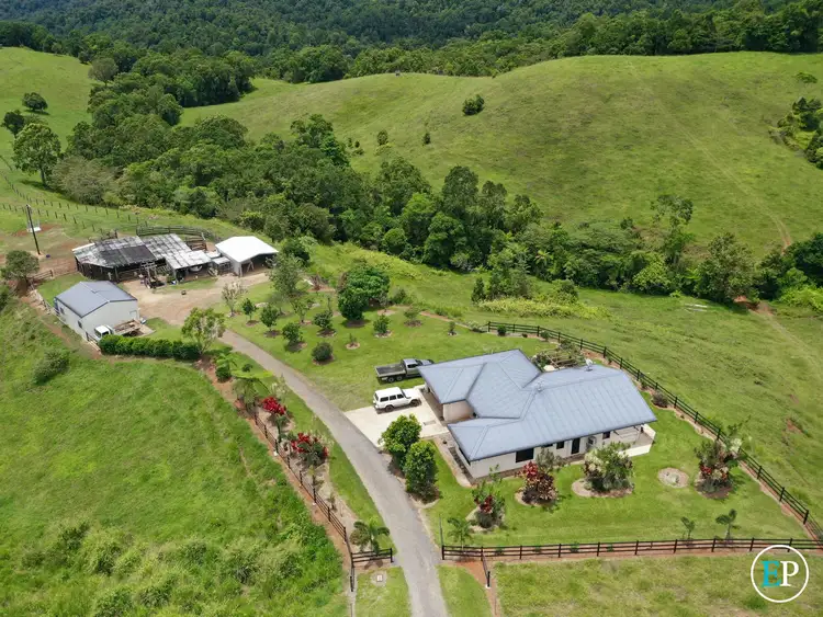 Third view of Homely rural property listing, 4555 Palmerston Highway, Mungalli QLD 4886