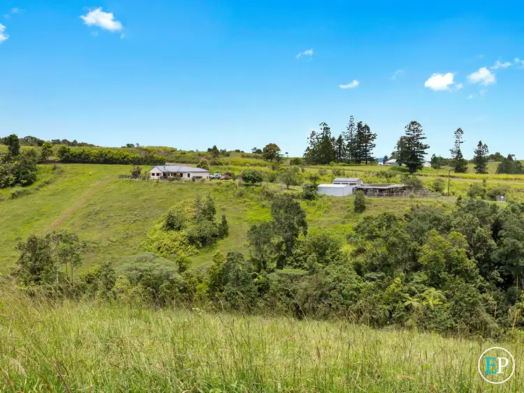 Fifth view of Homely rural property listing, 4555 Palmerston Highway, Mungalli QLD 4886