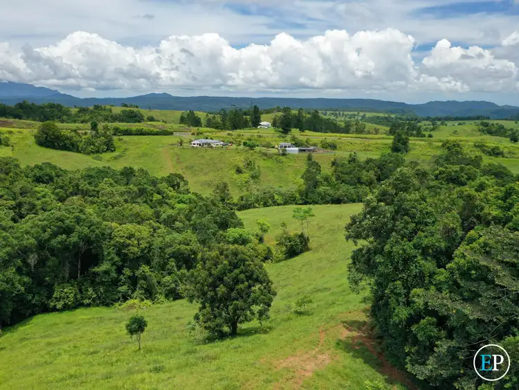 Sixth view of Homely rural property listing, 4555 Palmerston Highway, Mungalli QLD 4886
