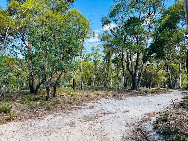 Fifth view of Homely rural property listing, Lot 3 Leona Road, Avoca TAS 7213