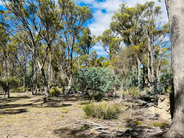 Seventh view of Homely rural property listing, Lot 3 Leona Road, Avoca TAS 7213