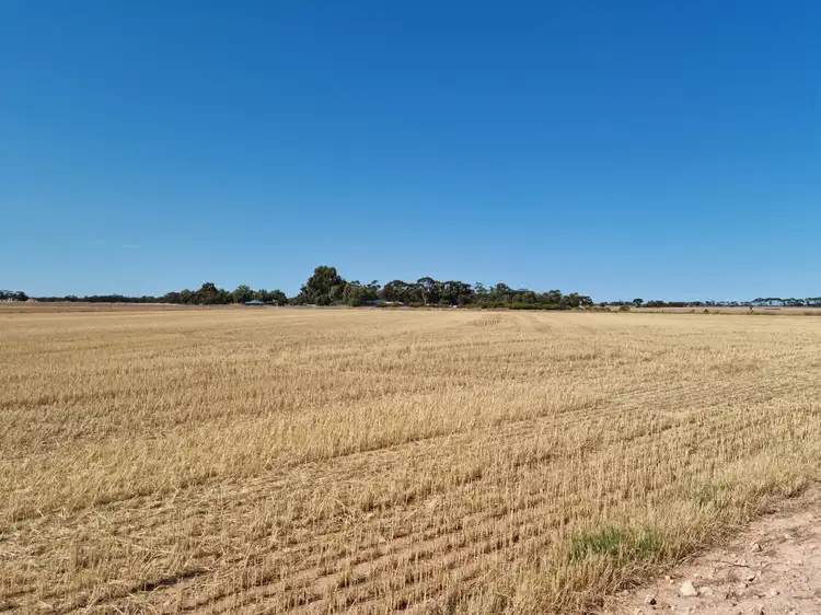 1007 Cheek Road, Redbanks SA 5502