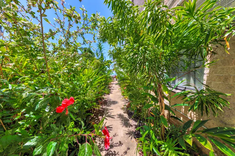 Third view of Homely unit listing, 3/278 Casuarina Drive, Rapid Creek NT 810