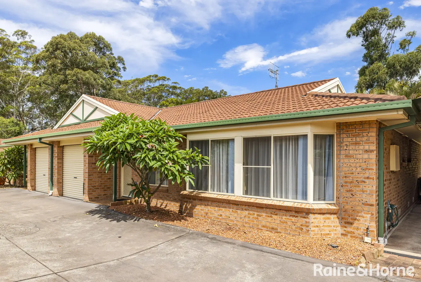 Main view of Homely villa listing, 3/12 Blanch Street, Lemon Tree Passage NSW 2319