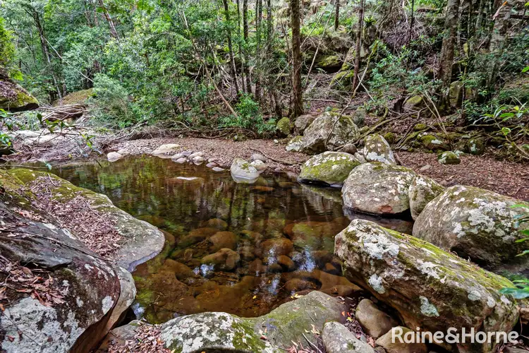 Sixth view of Homely rural property listing, 216 Selbys Road, Budgong NSW 2577
